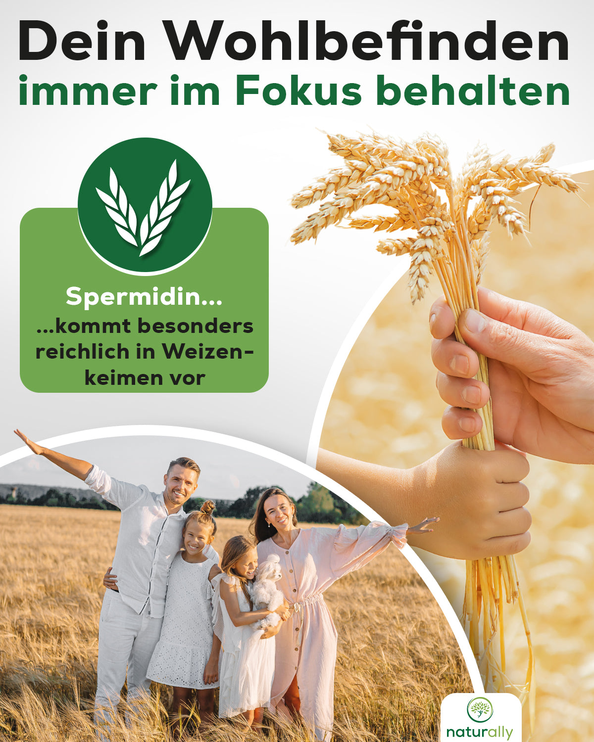 Inhaltsstoffe Spermidin aus Weizenkeimextrakt Kapseln naturbelassen