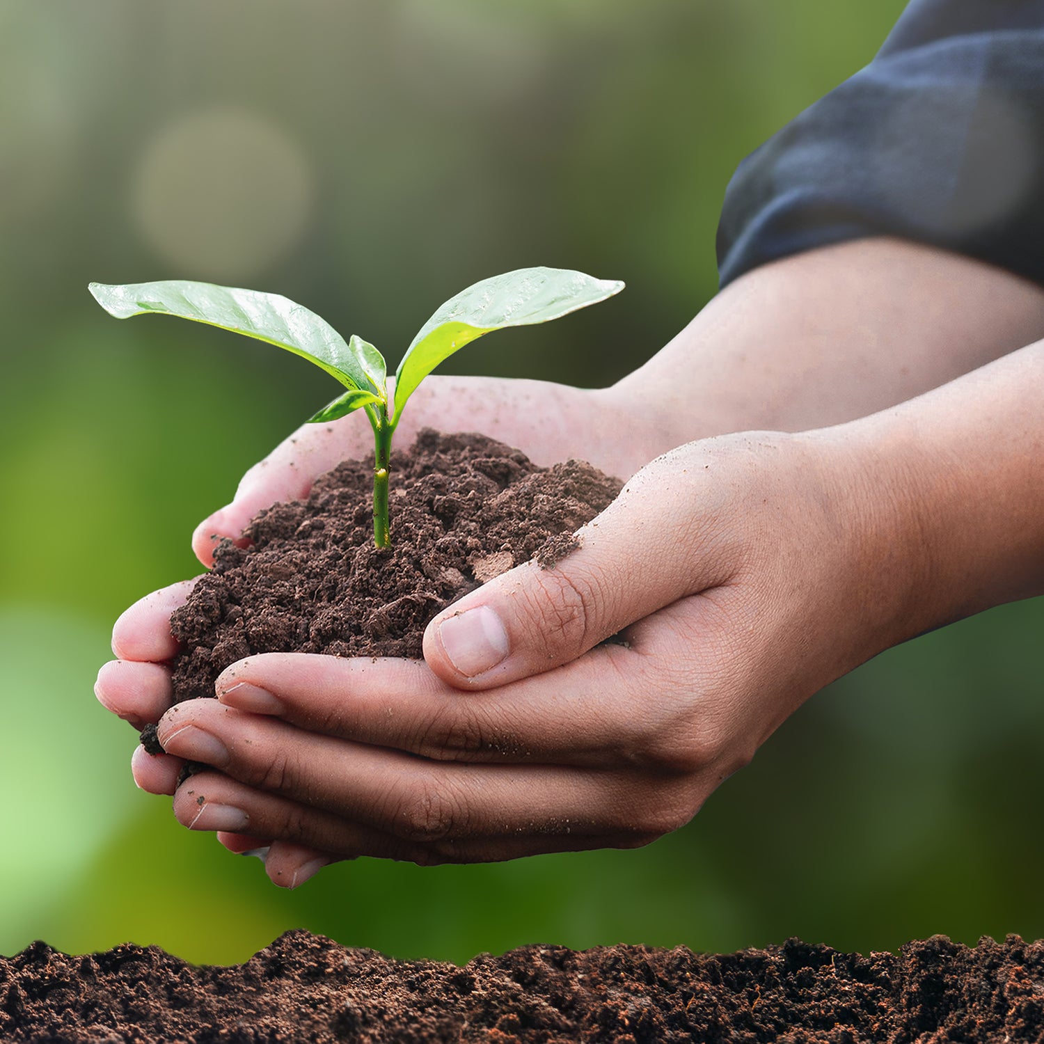 Natürliche Pflanzenstoffe