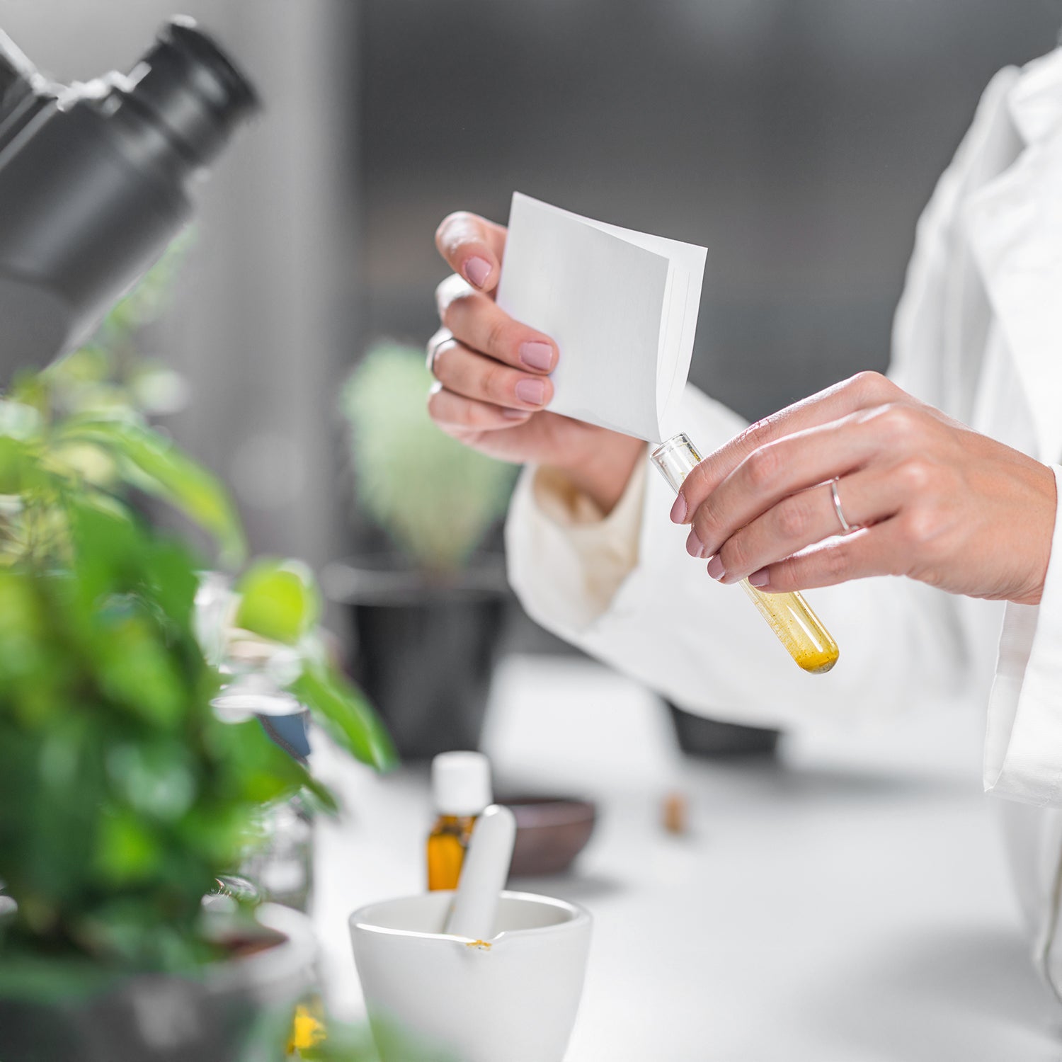 Natürliche Nährstoffe