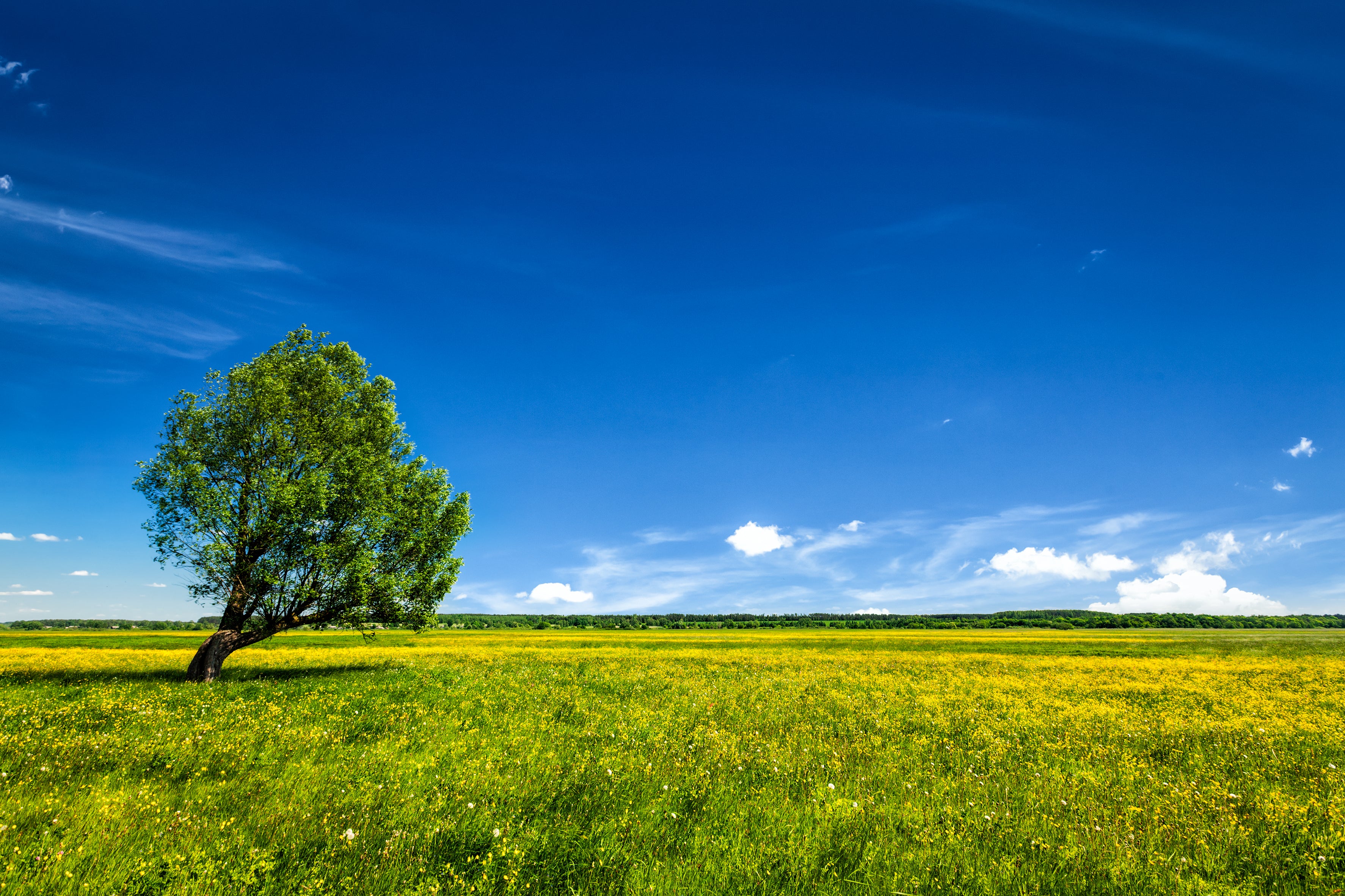 Willkommen beim naturally shop