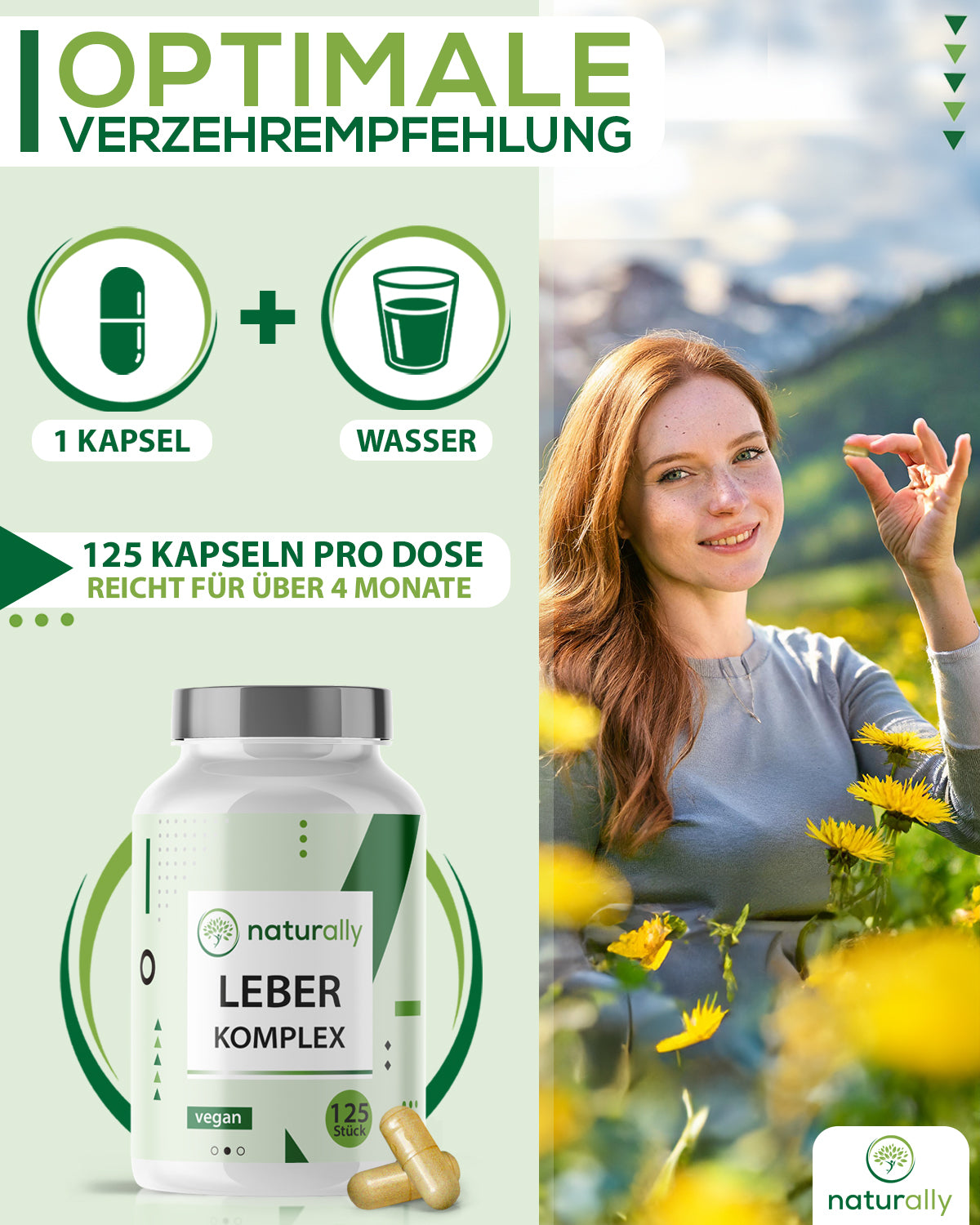 Leber Komplex