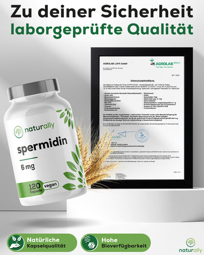 Hoch bioverfügbar laborgeprüfter Premium Rohstoff-Weizenkeimextrakt Spermidin Kapseln