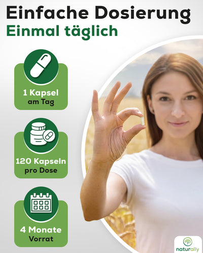 Spermidin 4 Monate Vorrat 1 Kapsel täglich – Zellregeneration mit Spermidin