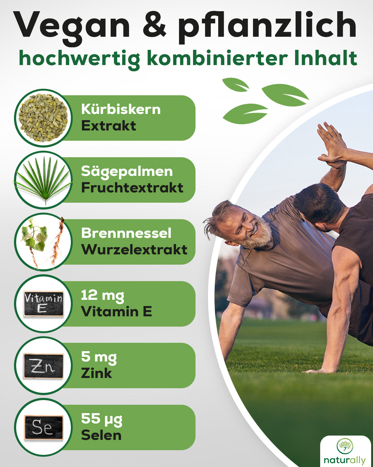 Zutaten Grafik Prosta Komplex: Kürbiskernextrakt, Sägepalmen Fruchtextrakt, Brennnessel Wurzelextrakt, Vitamin E, Zink, Selen, vegan, pflanzlch