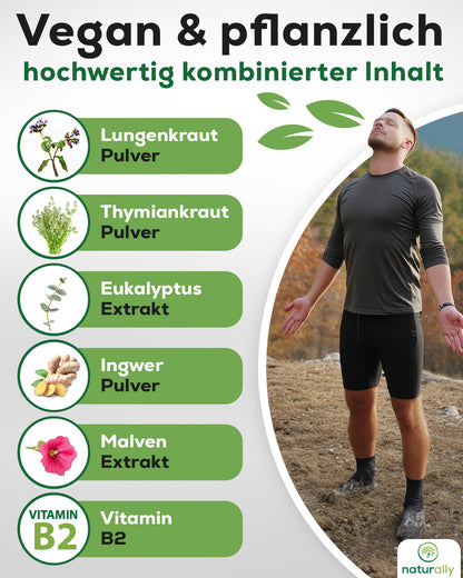 Rein pflanzlichen Rezeptur:
Lungenkraut
Thymiankraut
Eukalyptus
Ingwer
Malven
Vitamin B2