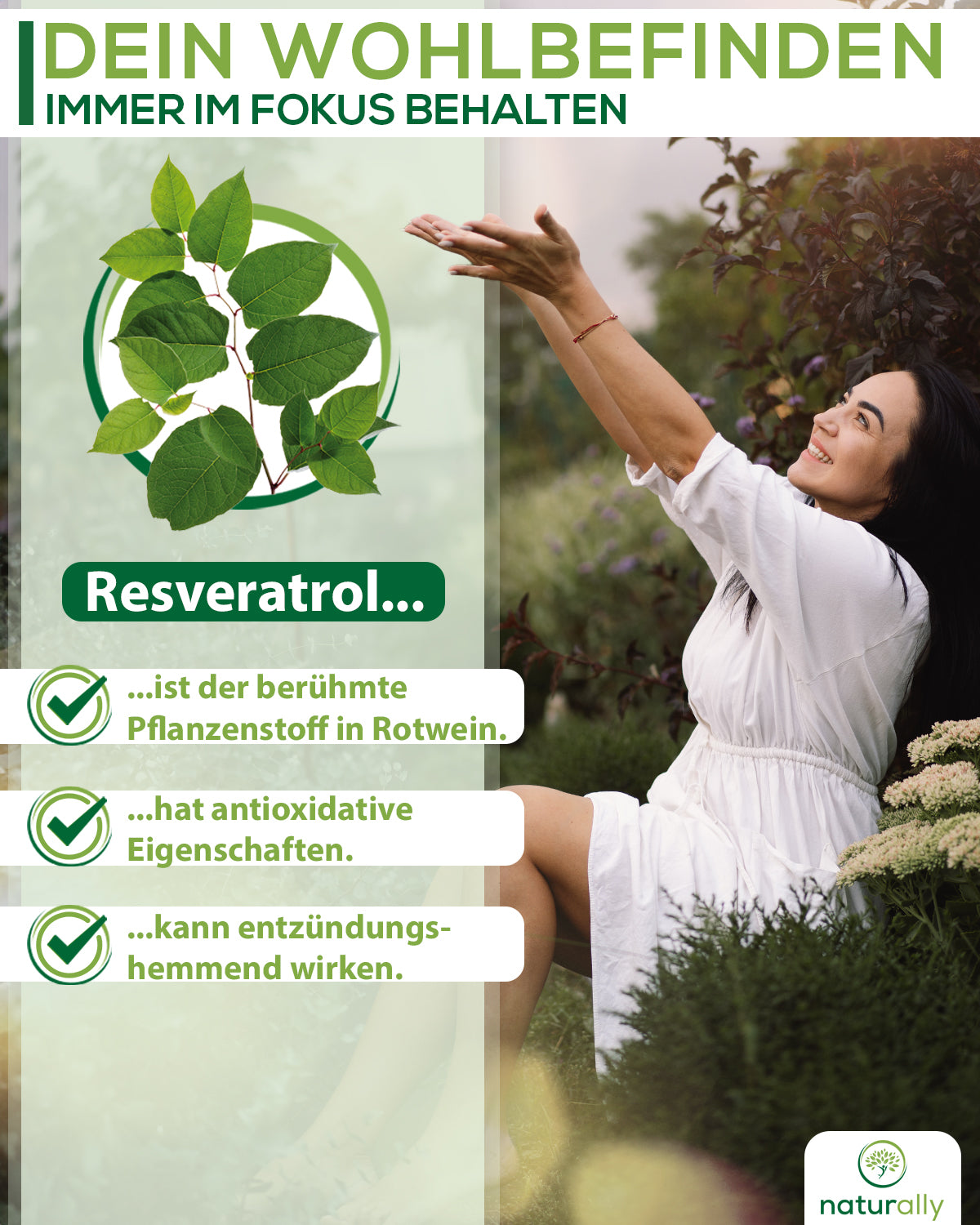 Resveratrol 500mg
