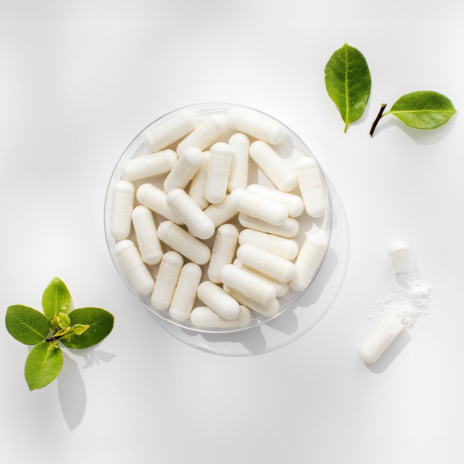 Natürliche Vitamine & Mineralien